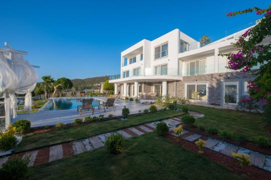Villa Boss 2