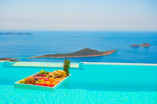 Villa Nest